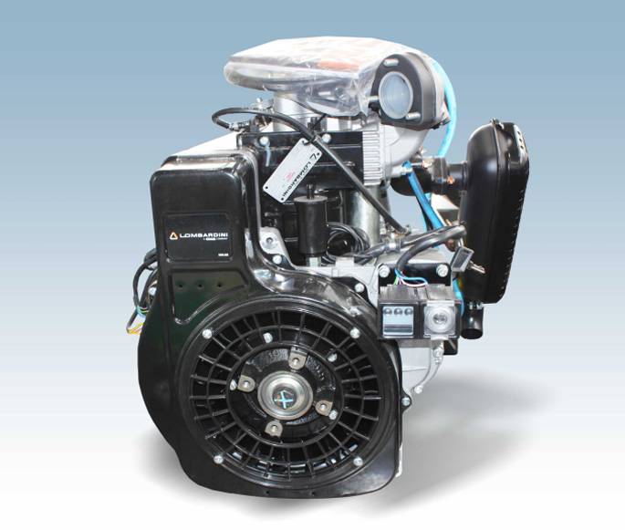 Двигатель дизельный Lambordini